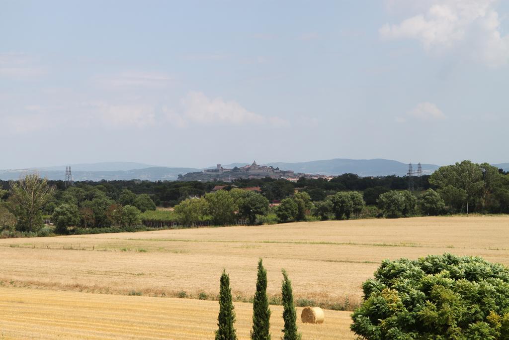 Agriturismo Verbena Castiglione del Lago Extérieur photo