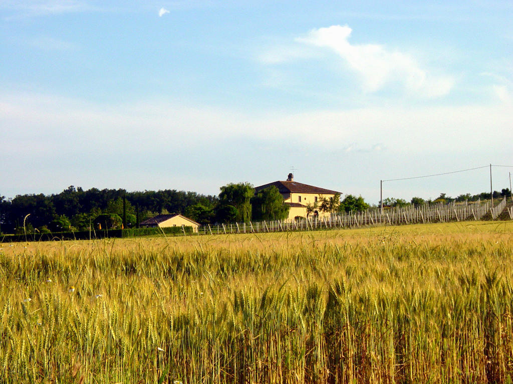 Agriturismo Verbena Castiglione del Lago Extérieur photo