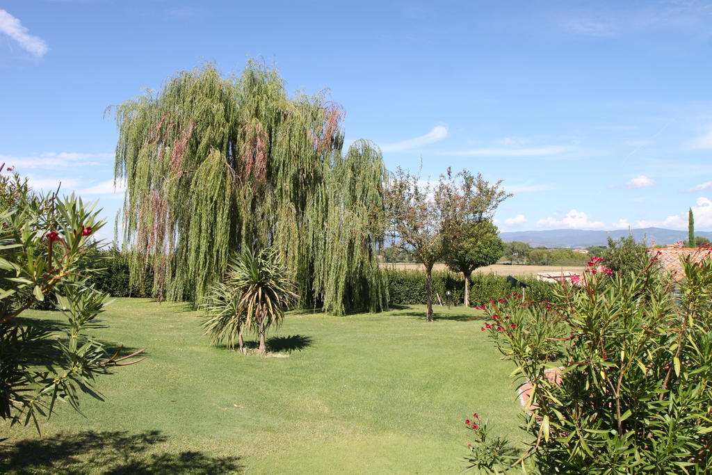 Agriturismo Verbena Castiglione del Lago Extérieur photo
